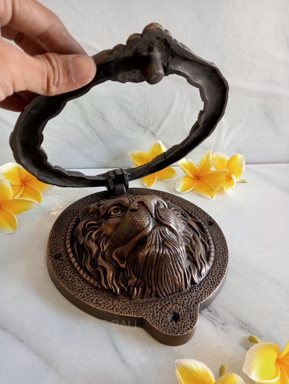 Big lion door knocker