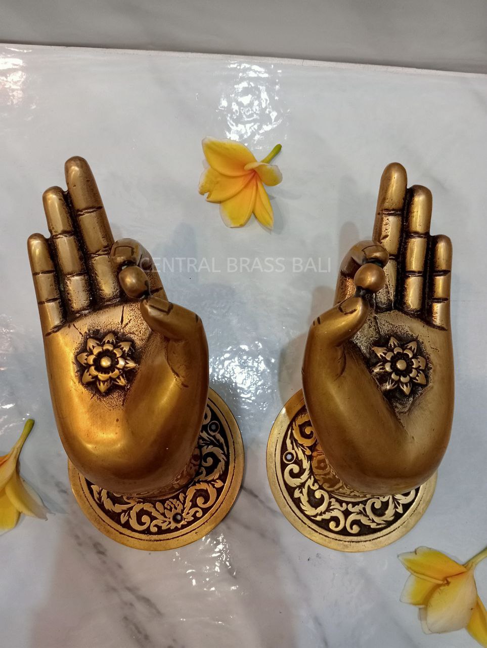 2 Rare Large Beautiful Buddha Gyan Mudra Hand shape hold small ball Handles Aged Brass Patina Knob 10cm back plate Heavy| HAND shaped handle