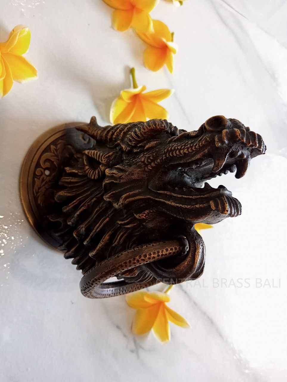Dragoon door knocker