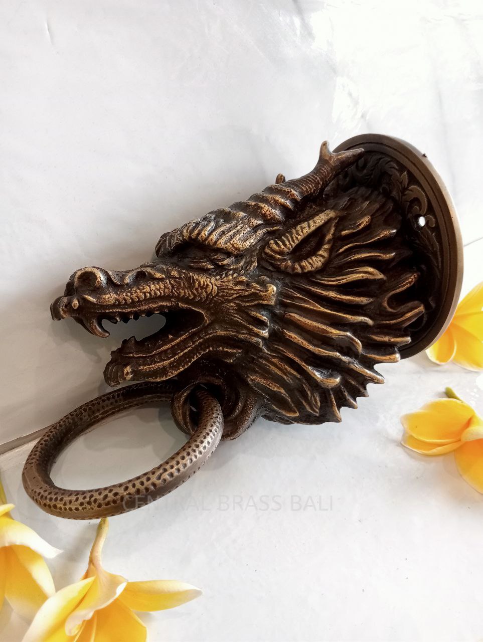 Dragoon door knocker