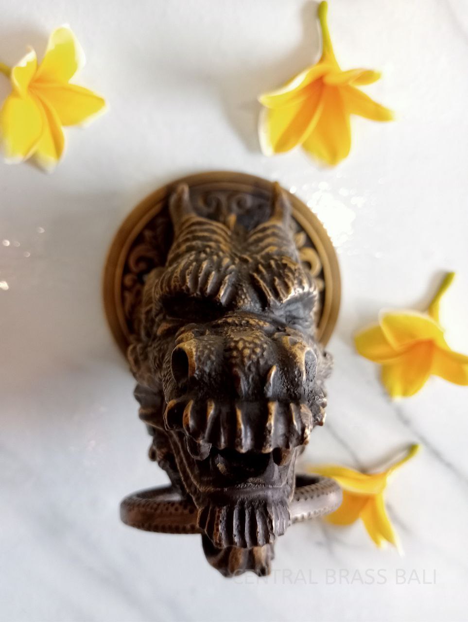 Dragoon door knocker