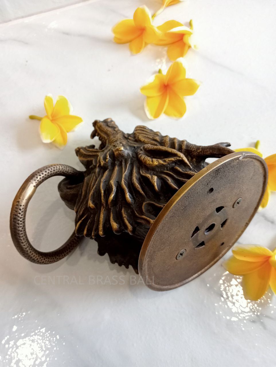 Dragoon door knocker