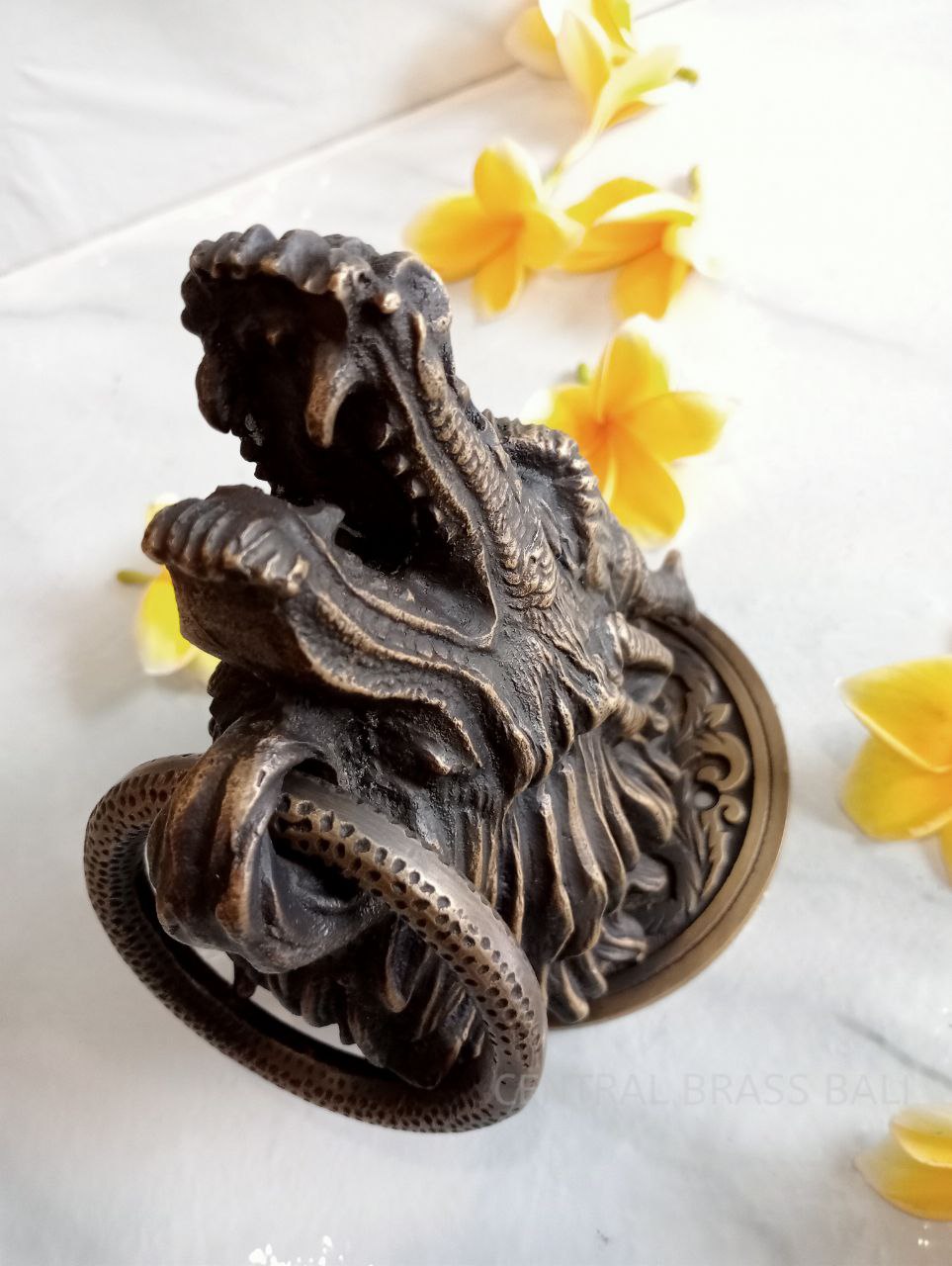 Dragoon door knocker