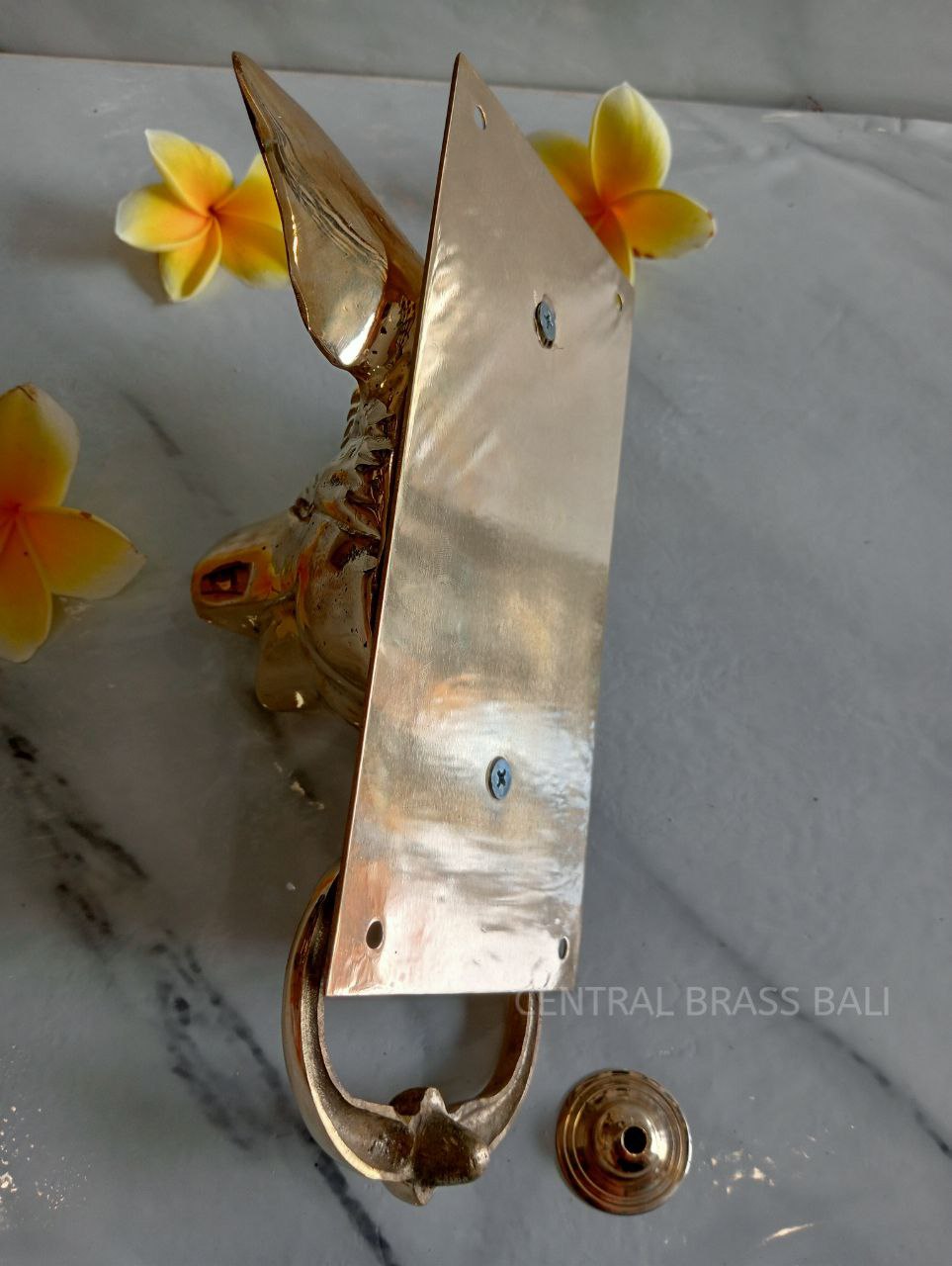 Blind pig gold Brass door knocker