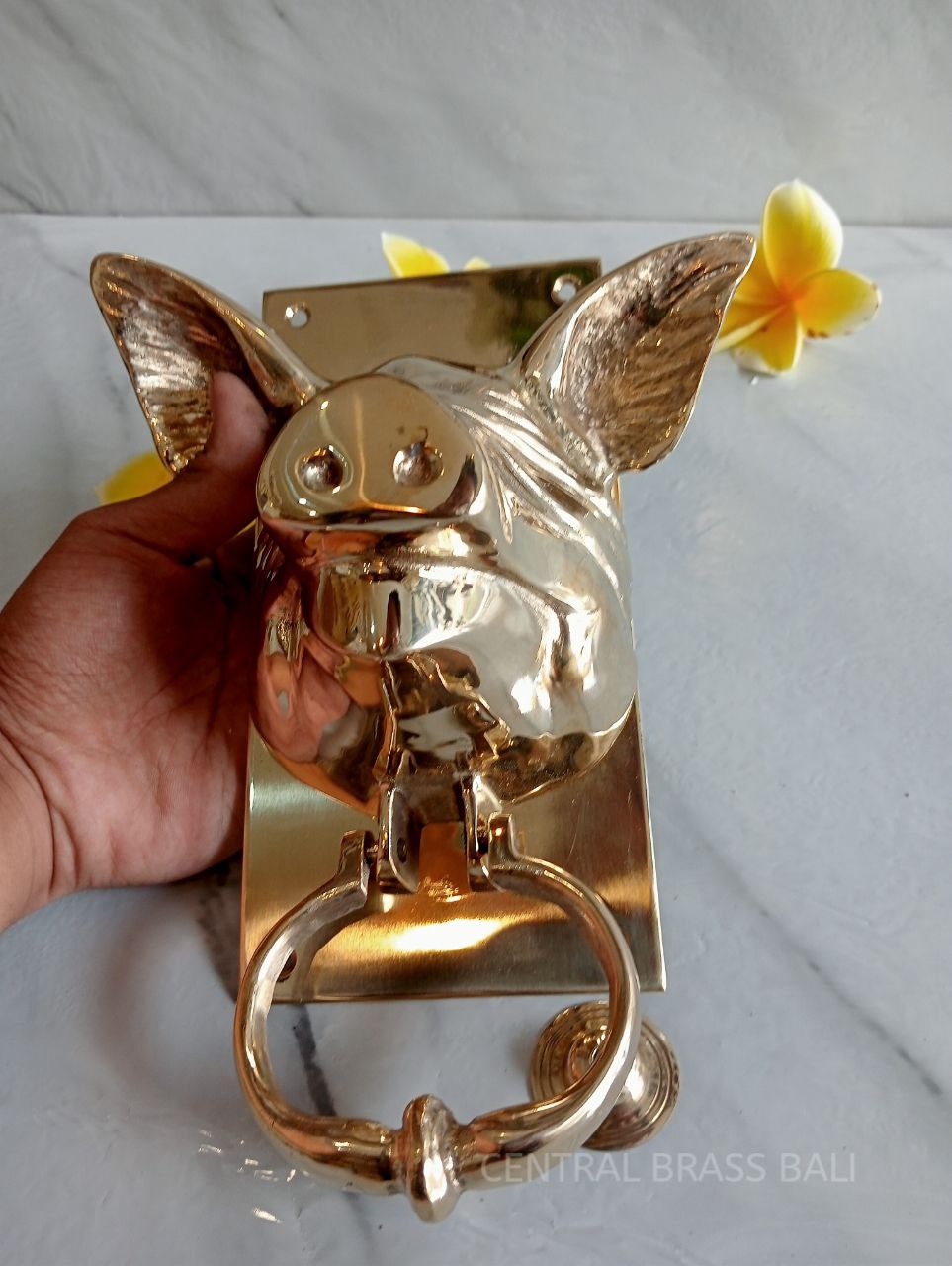 Blind pig gold Brass door knocker