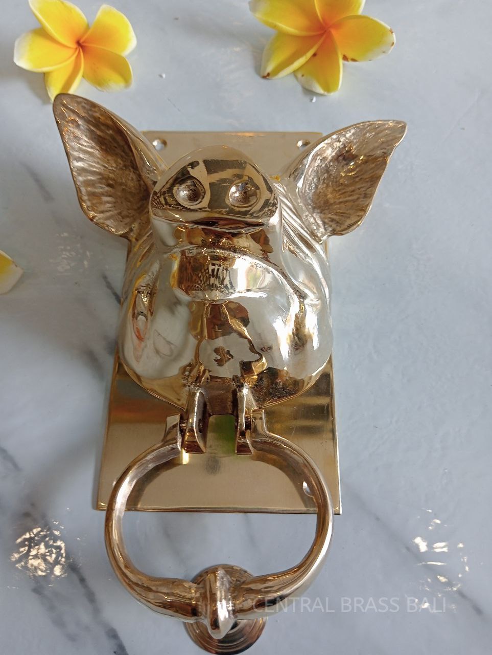 Blind pig gold Brass door knocker