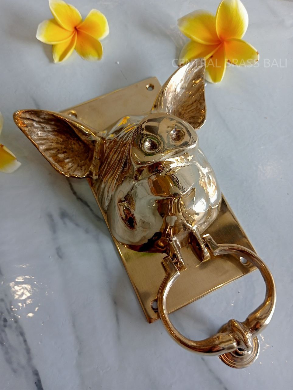 Blind pig gold Brass door knocker