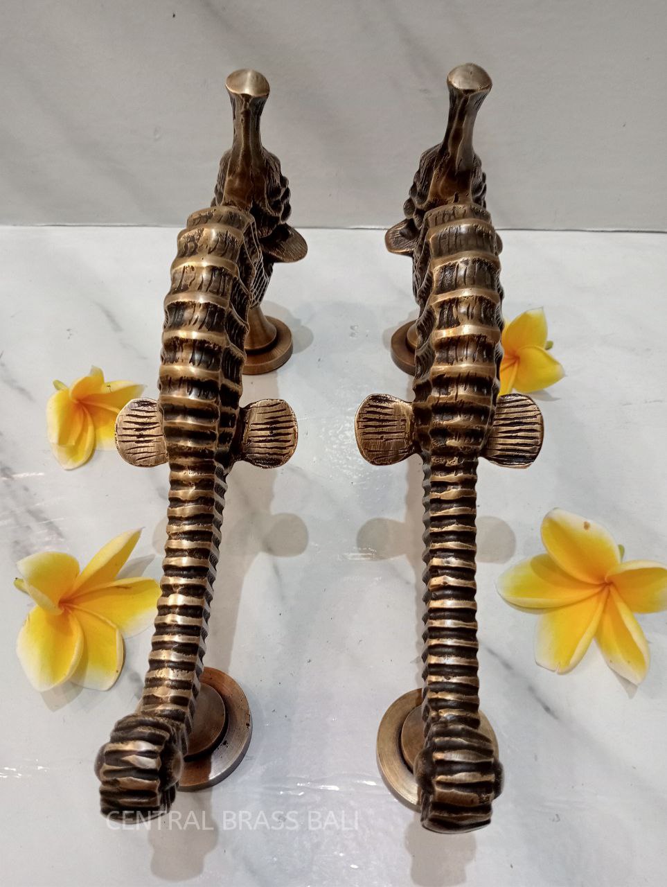 Seahose handles, Vintage Brass pull Pair