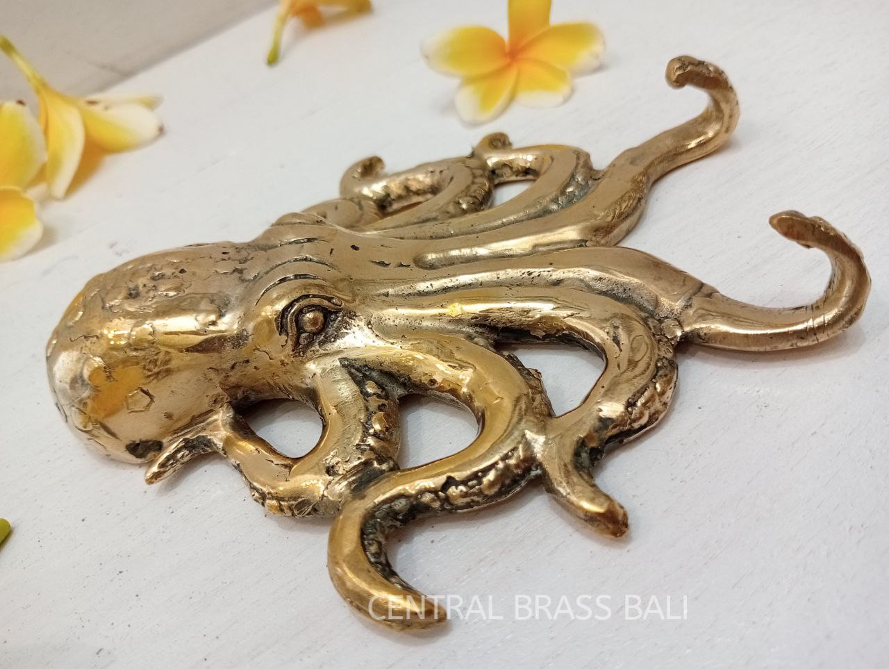 2pcs OCTOPUS Brass hooks