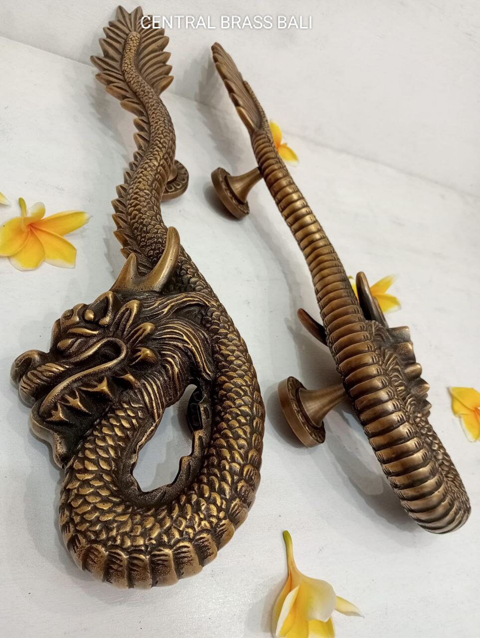 Fantasy Dragon Brass Door Handles Set of 2, Handmade Antique Entryway Hardware