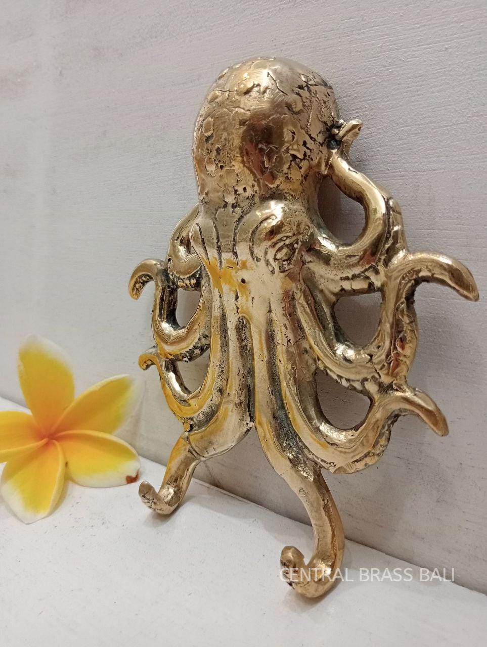 Set of 3pcs Brass Octopus Coat Hooks, Nautical Wall Decor