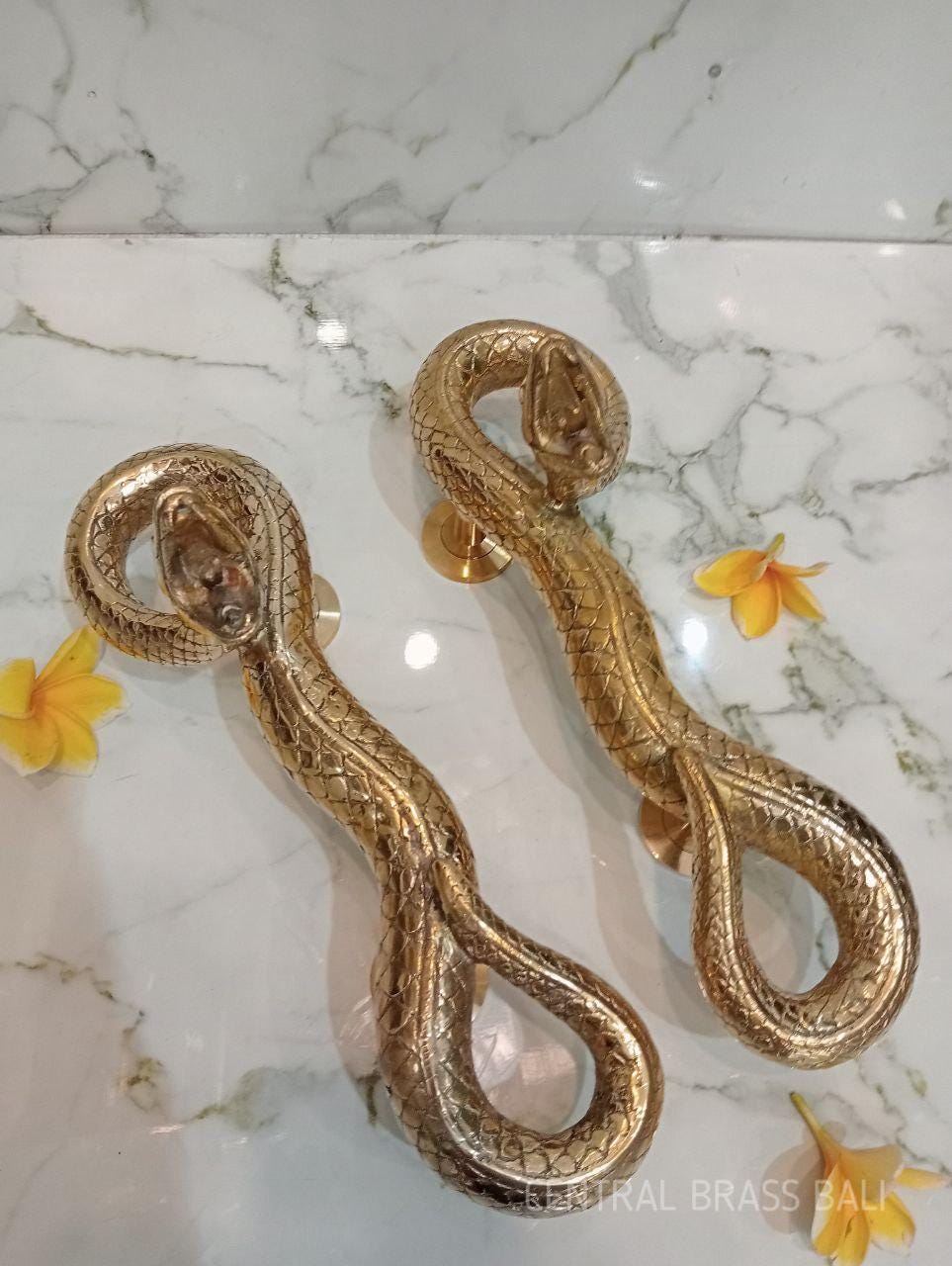 Vintage Solid Brass Snake Door Pull Handle Pair | Handcrafted Serpent Entrance Handle | Luxury Gothic Door Hardware