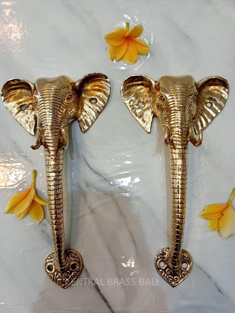 Elephant Door Handles, Solid Brass Gold Polished Front Door Pulls, Set of 2, Elephant Entry Door Hardware, Exotic Home Decor