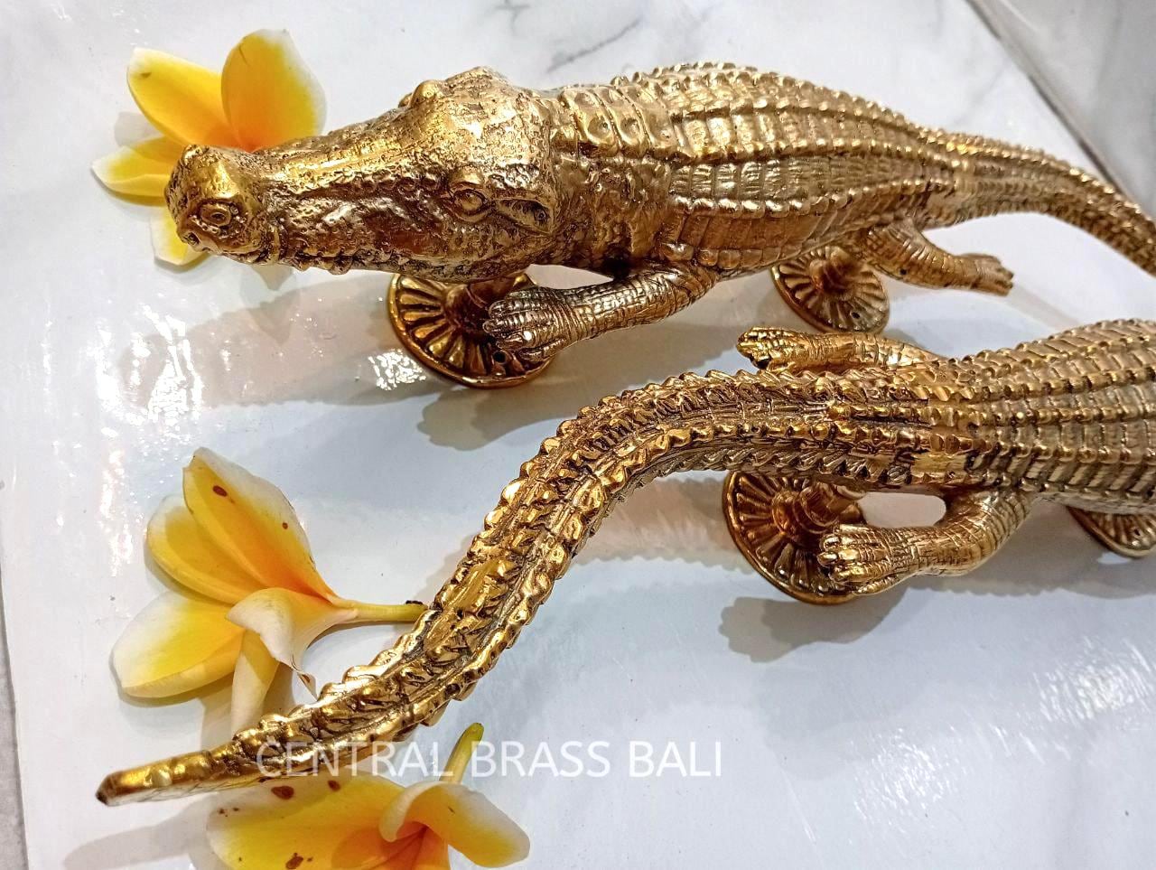Large Brass Crocodile Door Handles Set of 2, Gold Alligator Door Pulls, Exotic Animal Hardware, Statement Entry Door Handles, 17.71"