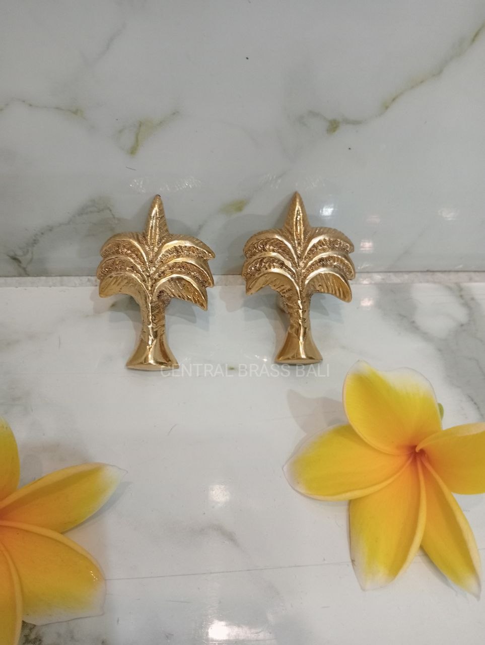 Set of 10pcs Palm knobs
