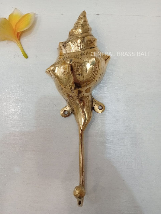 3pcs shell Hooks Brass