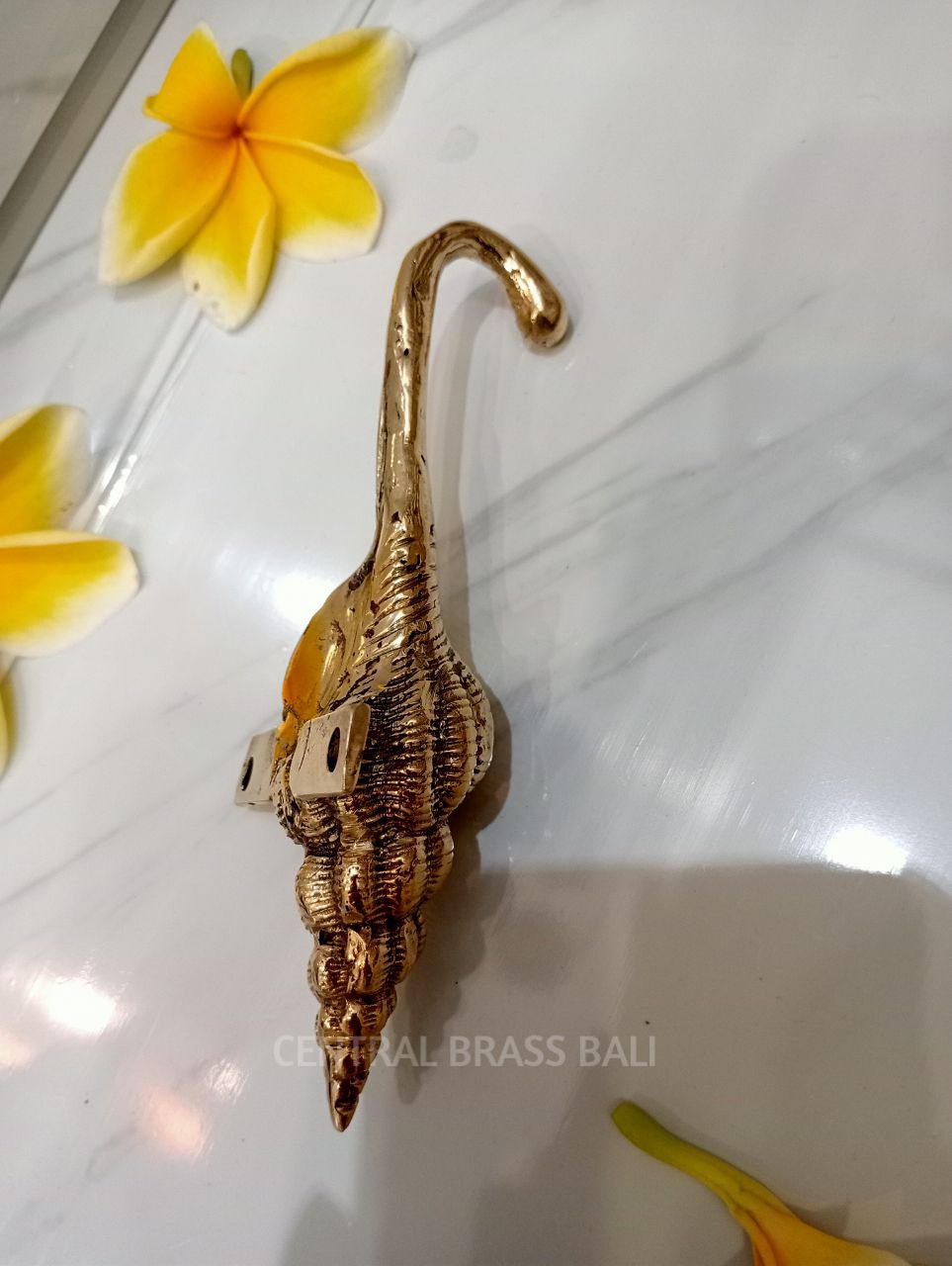 Set of 4pcs Shell Hook Brass
