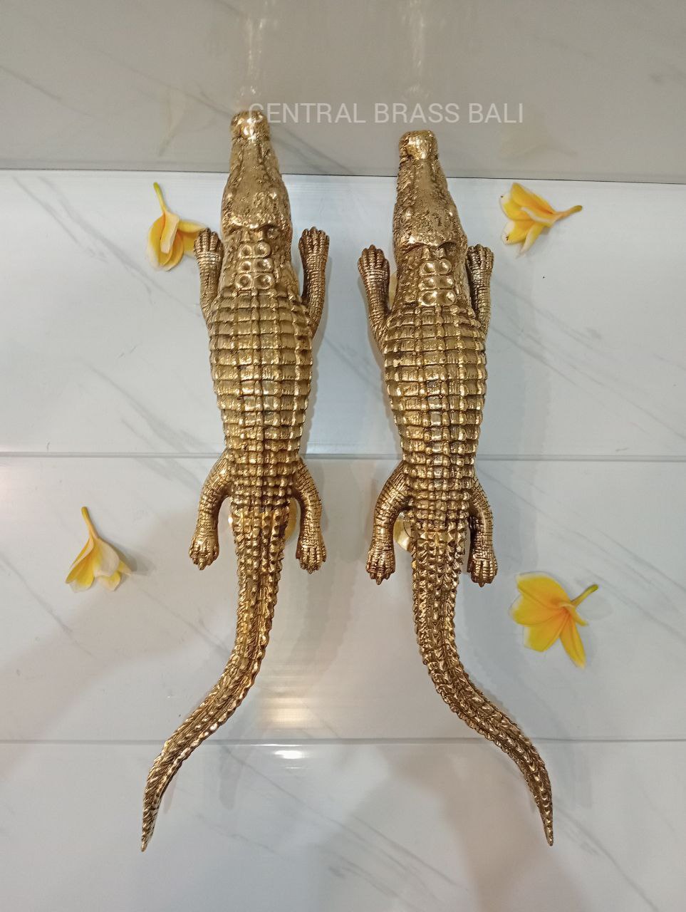 Pair Crocodile door handles