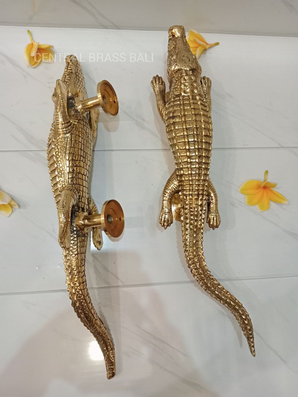 Pair Crocodile door handles