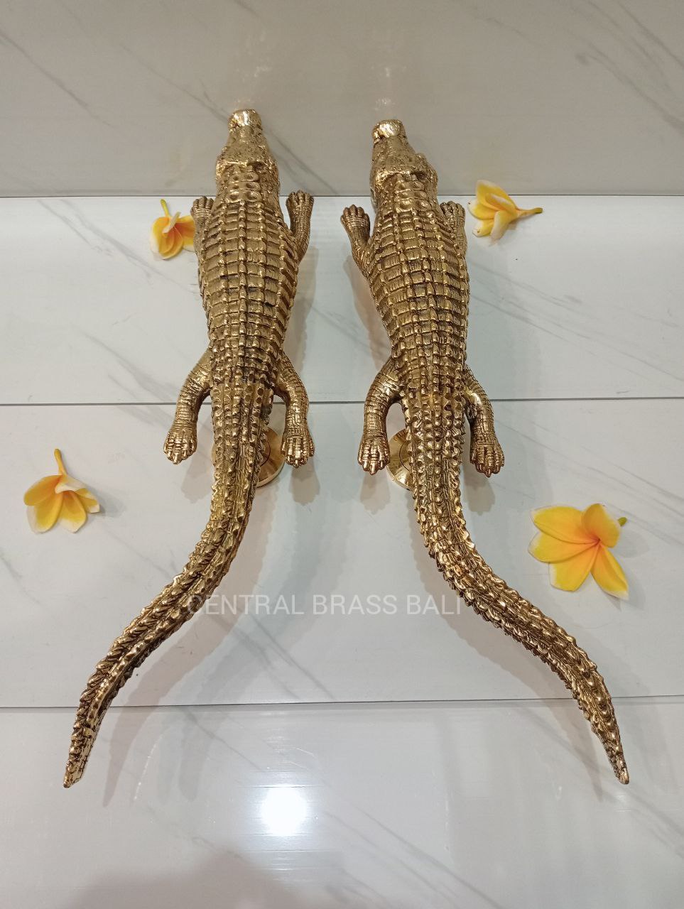 Pair Crocodile door handles