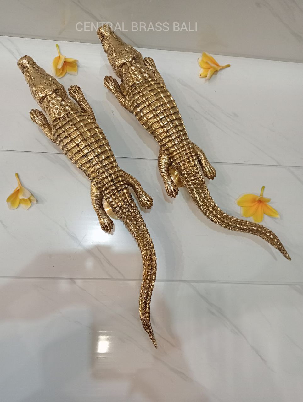 Pair Crocodile door handles