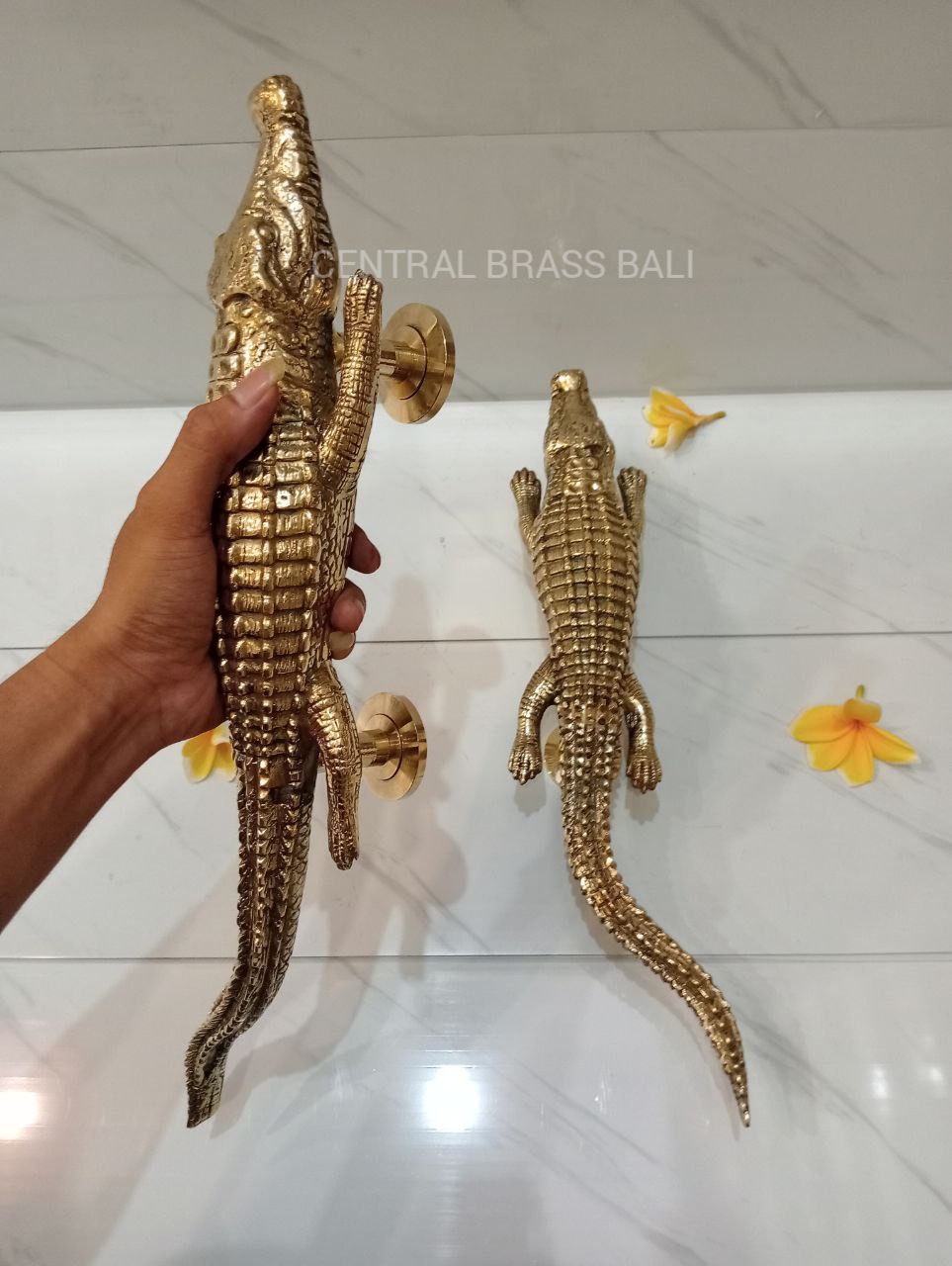 Pair Crocodile door handles
