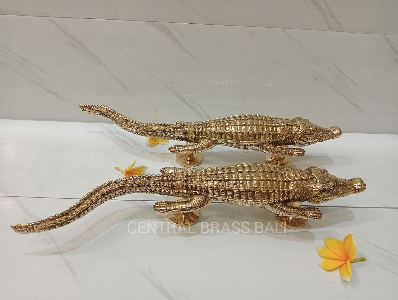 Pair Crocodile door handles