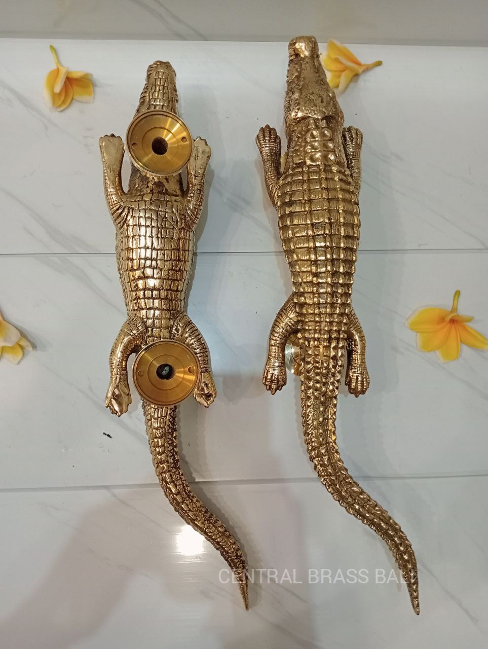 Pair Crocodile door handles