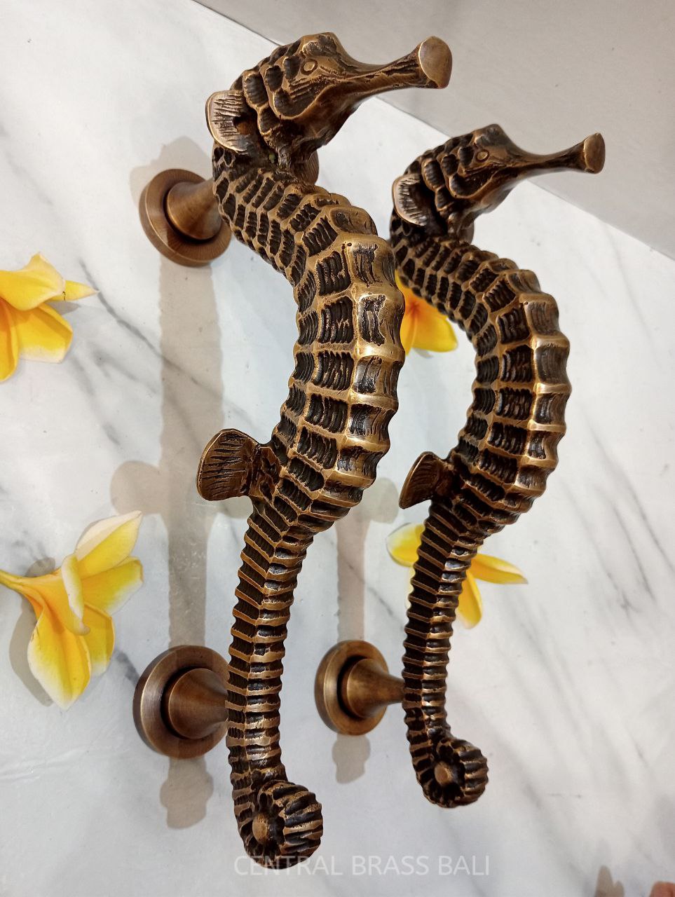 Seahose handles, Vintage Brass pull Pair