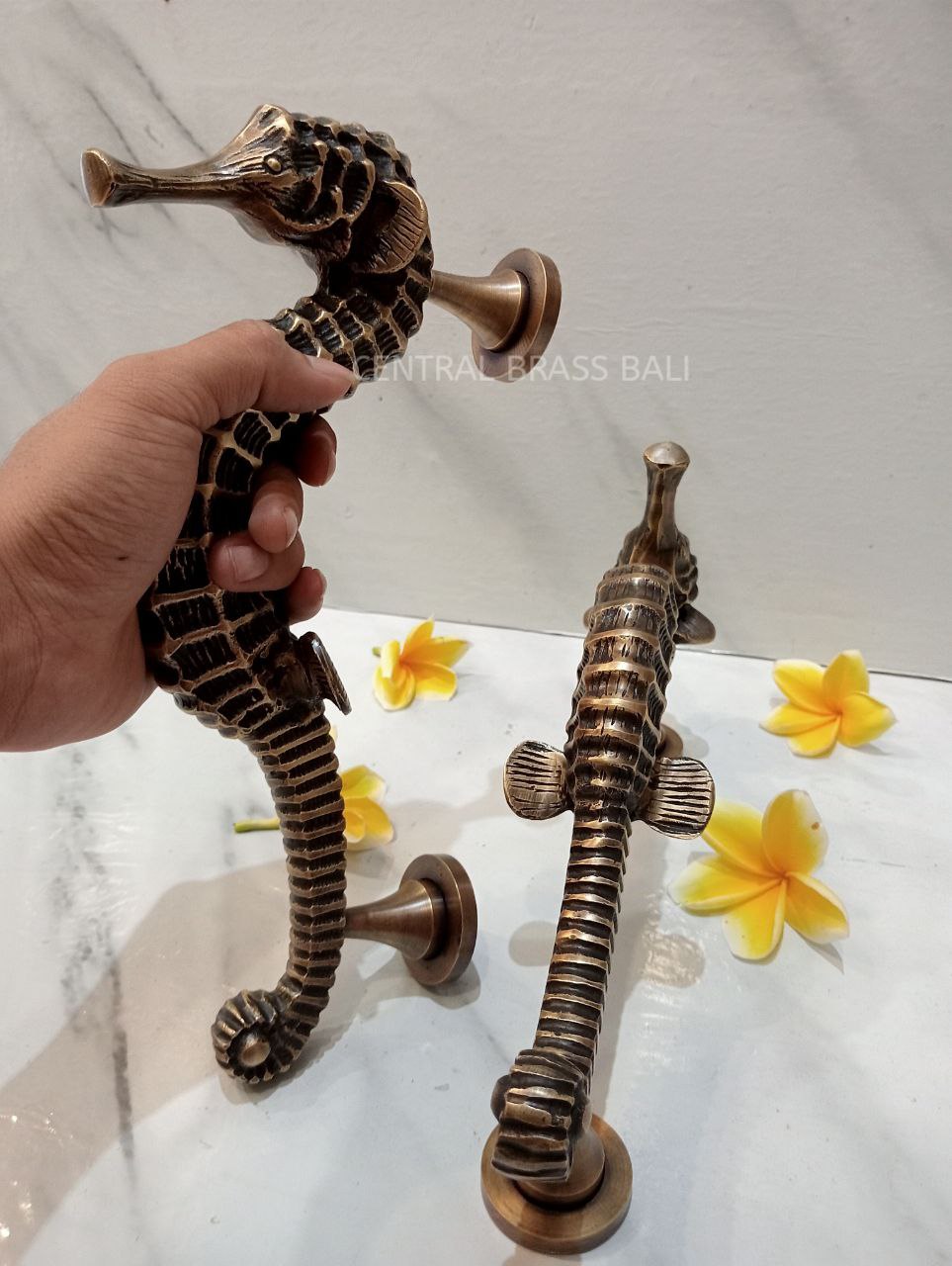 Seahose handles, Vintage Brass pull Pair