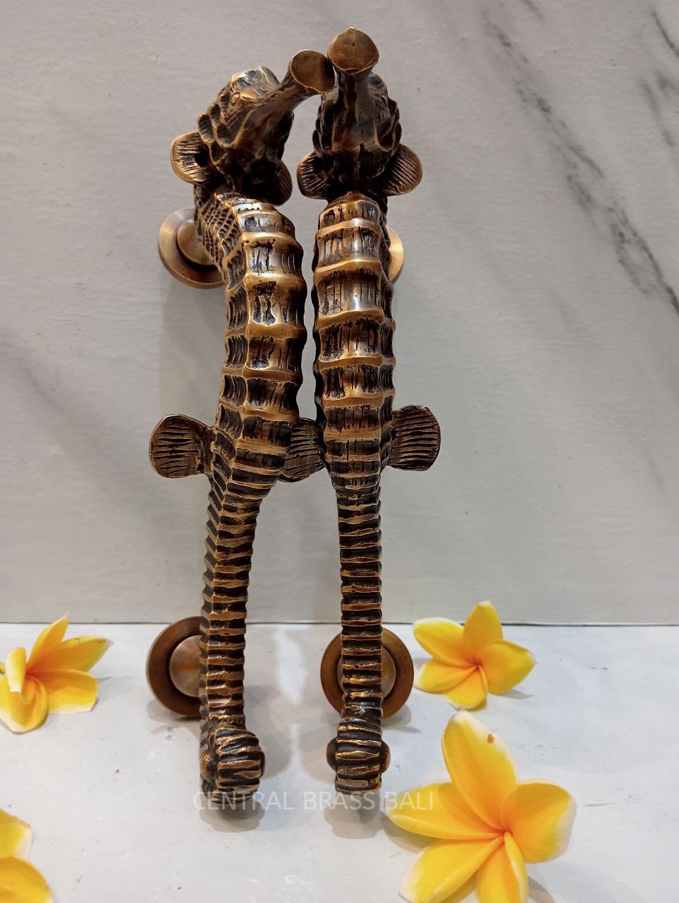 Seahose handles, Vintage Brass pull Pair