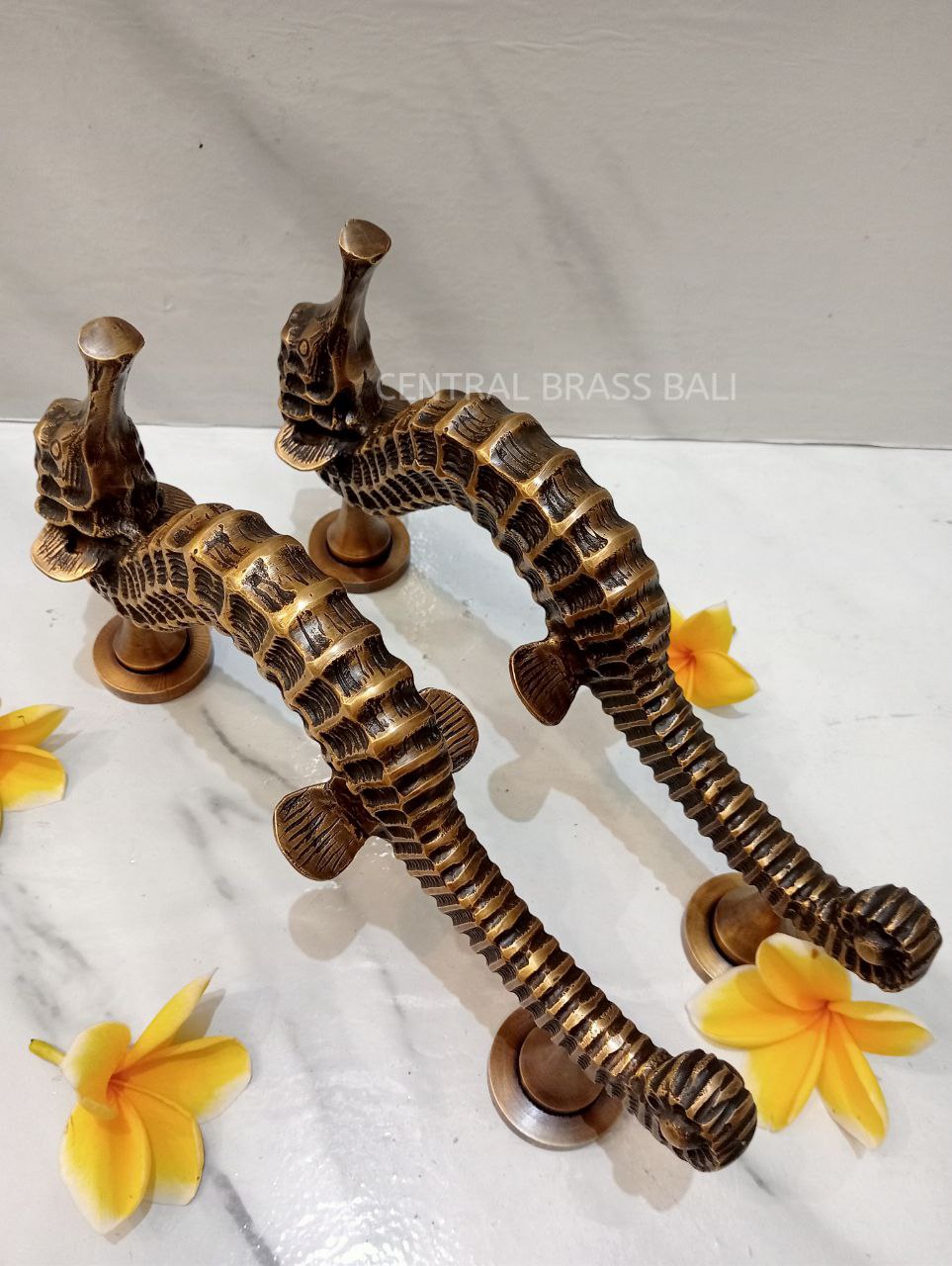 Seahose handles, Vintage Brass pull Pair