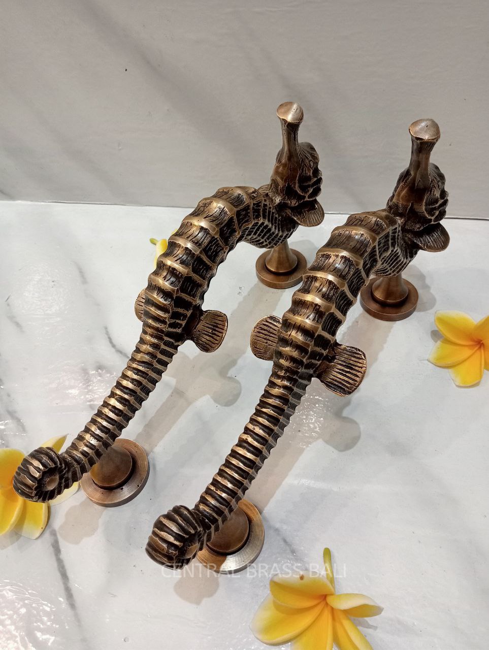 Seahose handles, Vintage Brass pull Pair