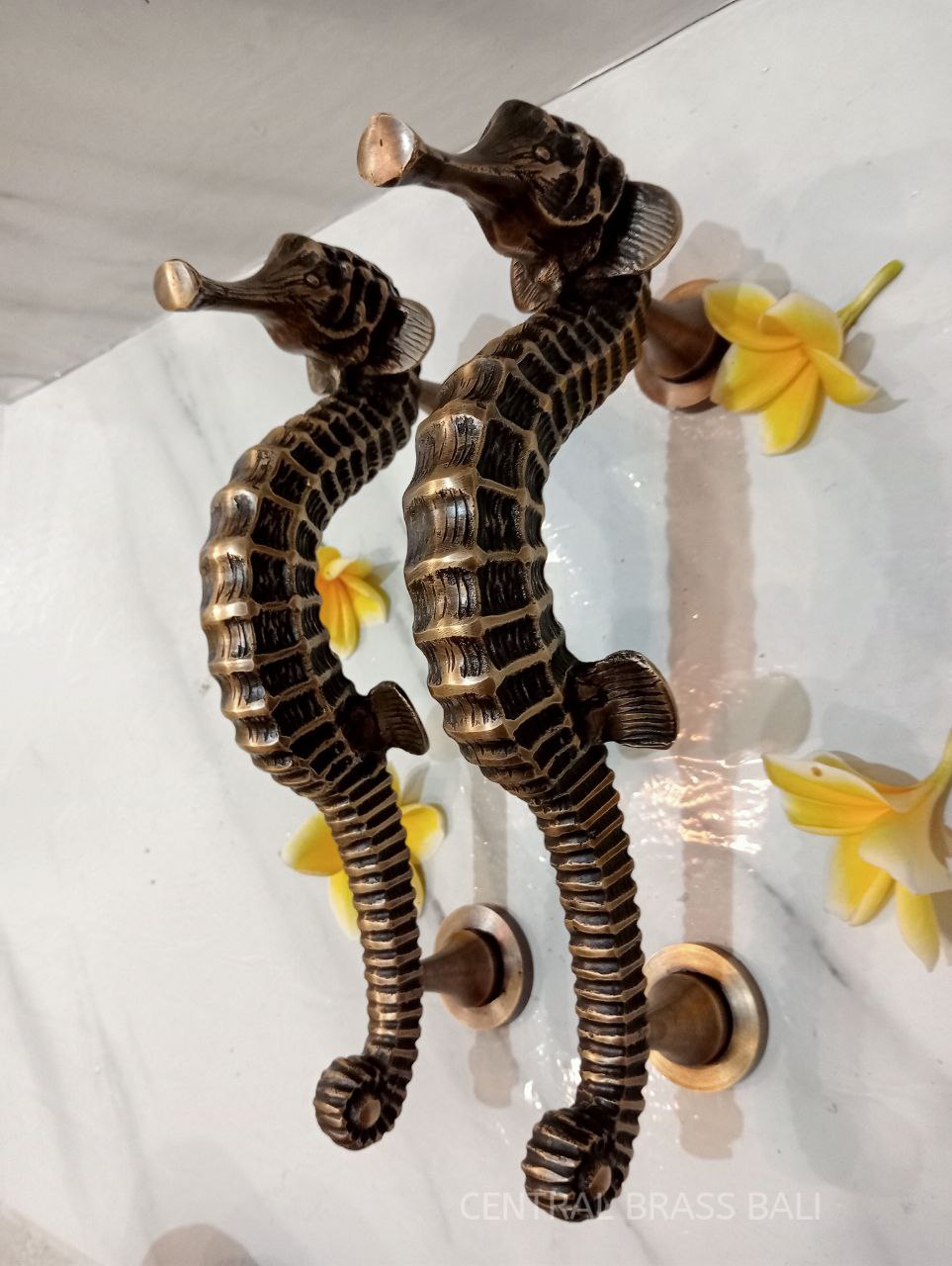 Seahose handles, Vintage Brass pull Pair