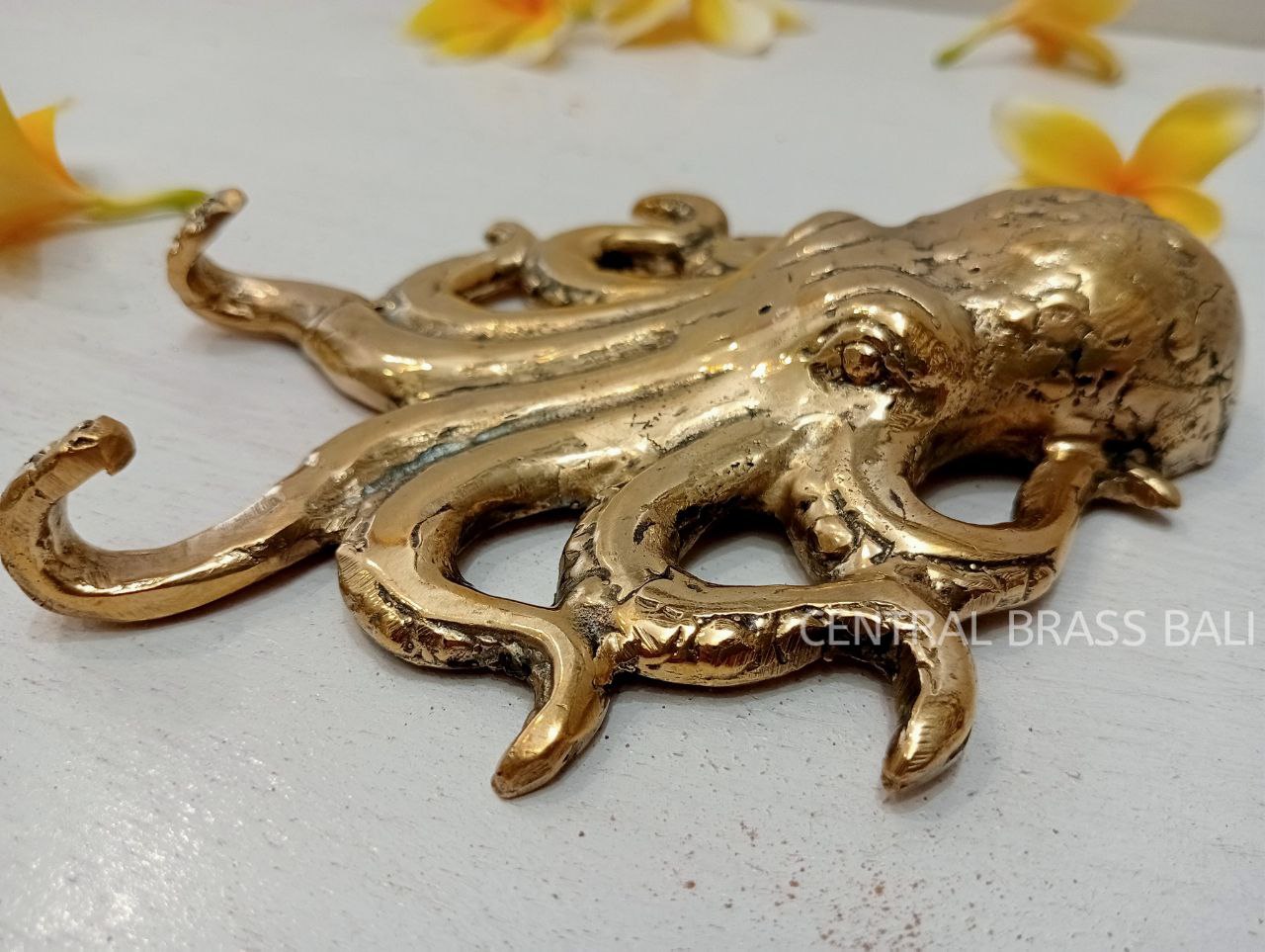 2pcs OCTOPUS Brass hooks