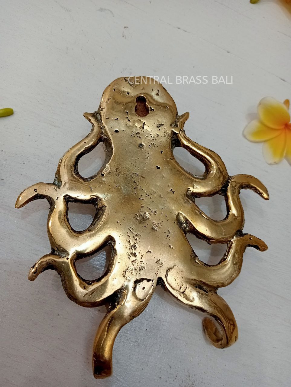 2pcs OCTOPUS Brass hooks