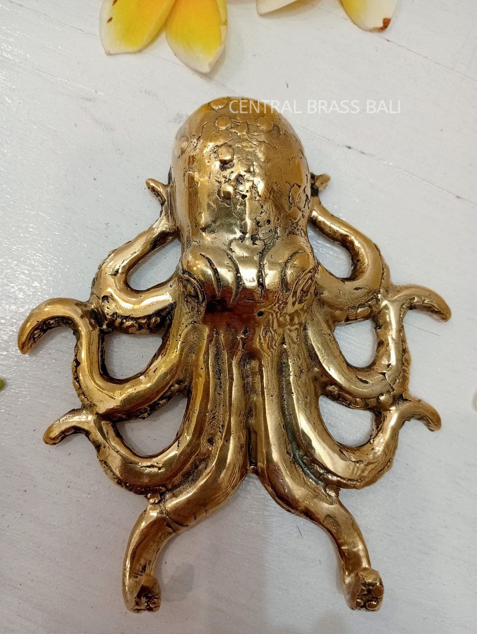 2pcs OCTOPUS Brass hooks