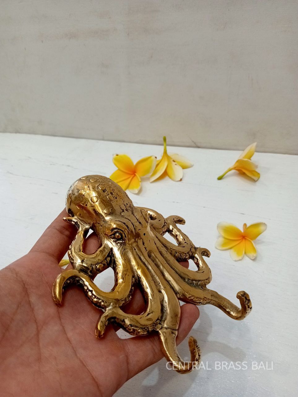 2pcs OCTOPUS Brass hooks