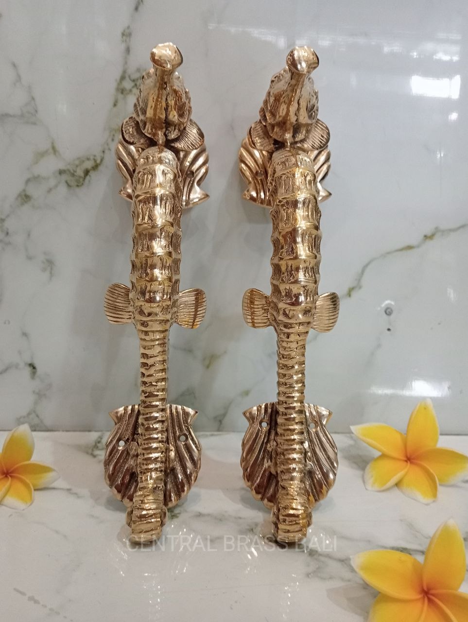 2xpcs Gold polished Seahorse Brass Door handles