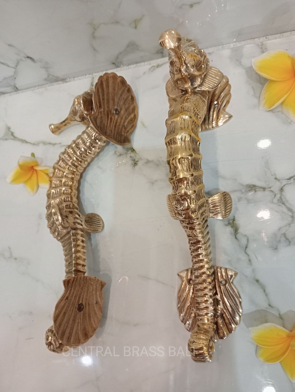 2xpcs Gold polished Seahorse Brass Door handles