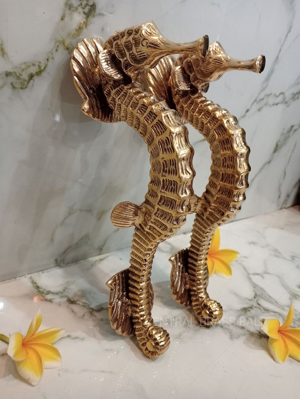 2xpcs Gold polished Seahorse Brass Door handles