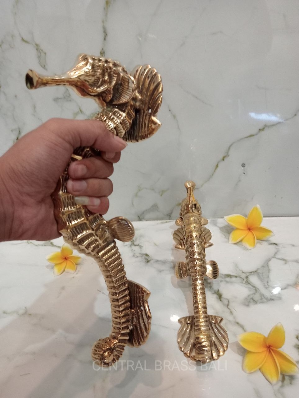 2xpcs Gold polished Seahorse Brass Door handles