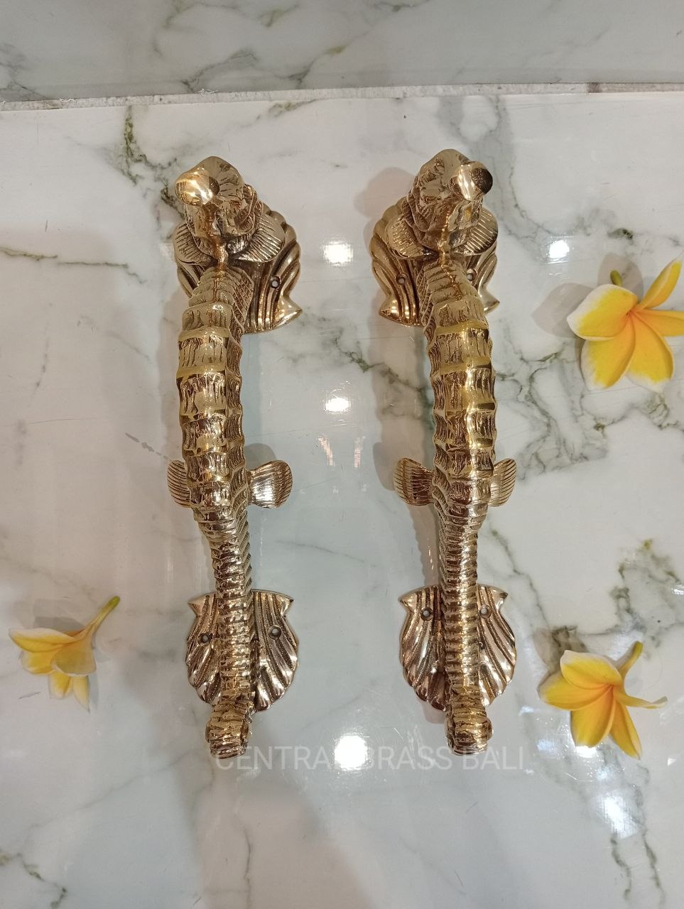2xpcs Gold polished Seahorse Brass Door handles