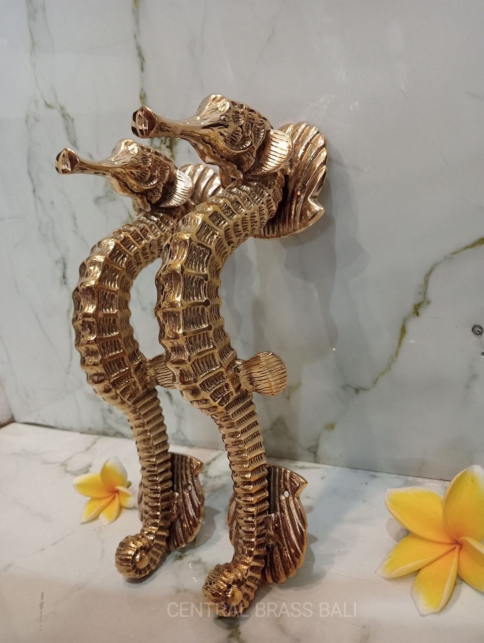 2xpcs Gold polished Seahorse Brass Door handles