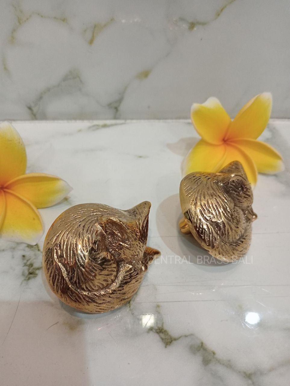 10pcs Fox door knob