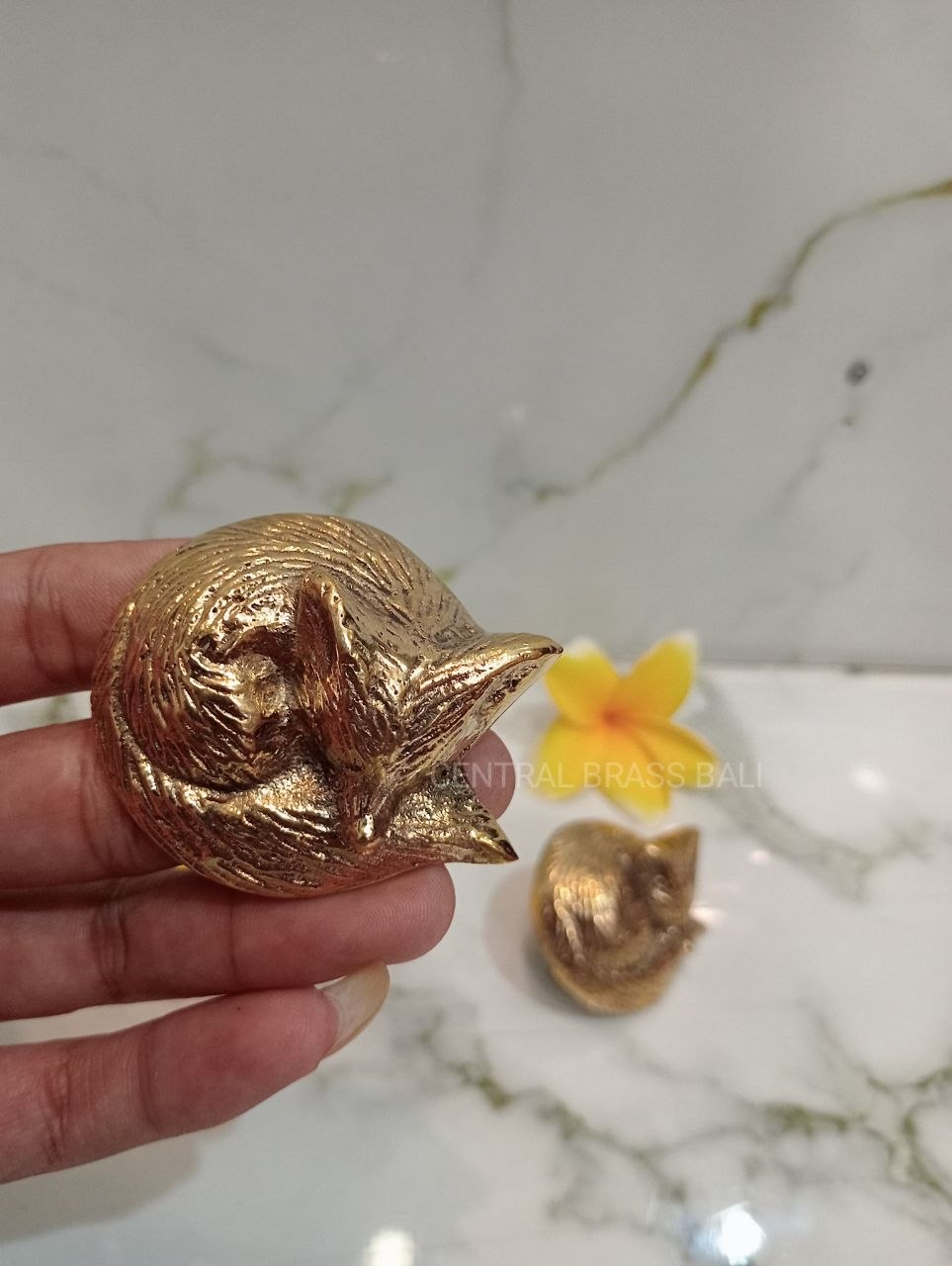 10pcs Fox door knob