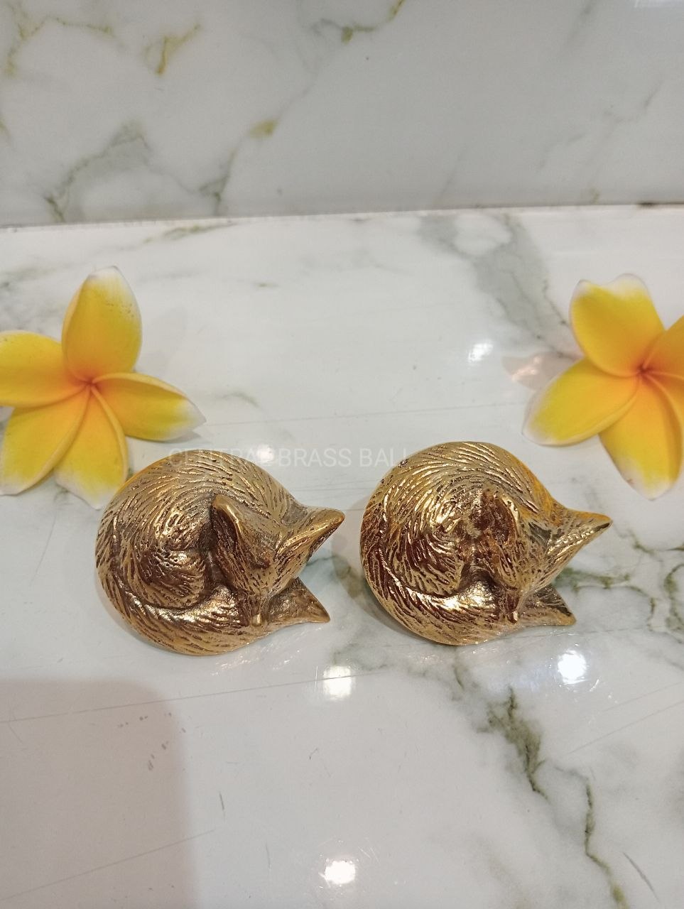 10pcs Fox door knob