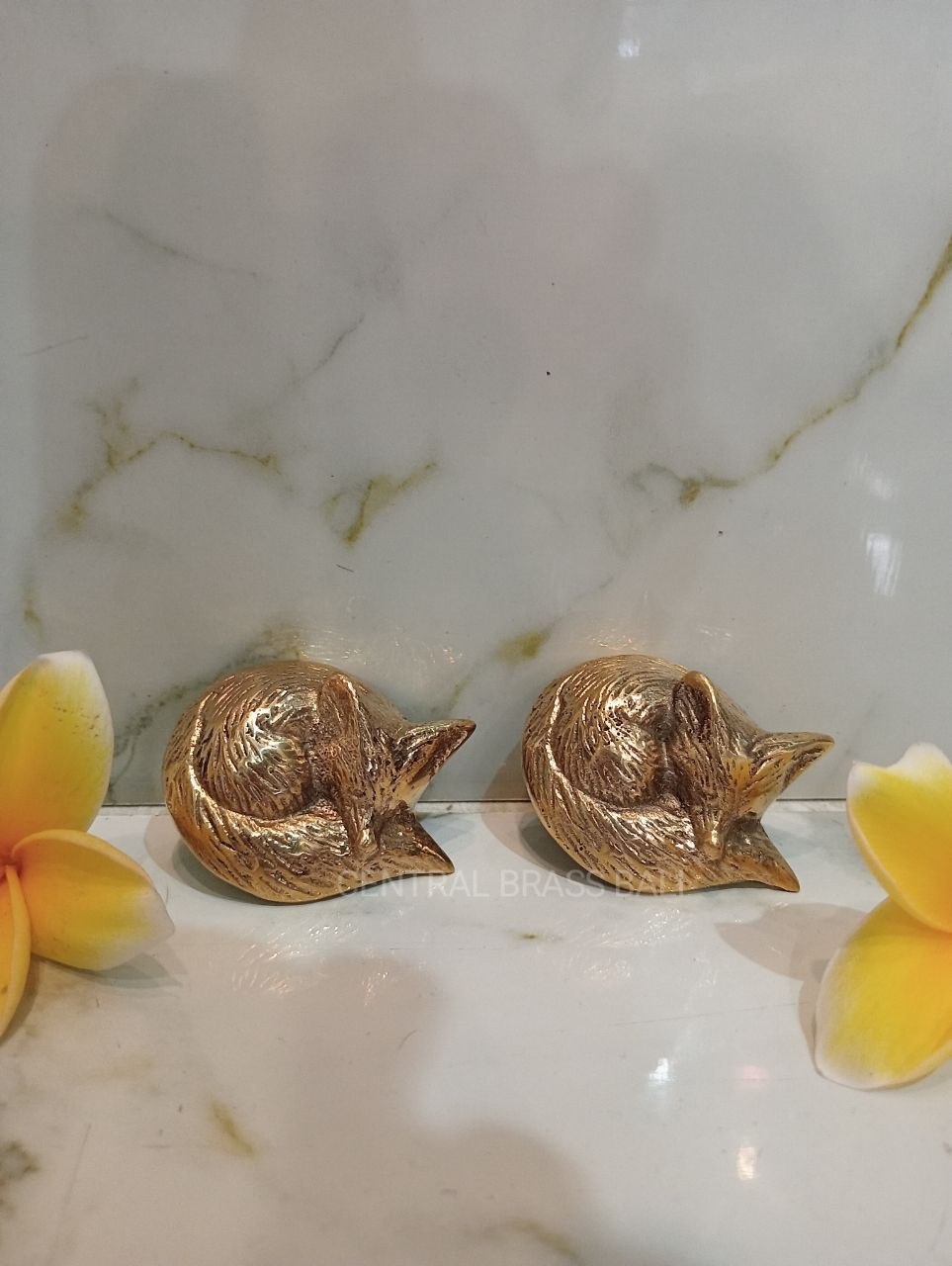 10pcs Fox door knob