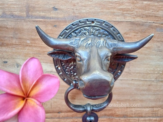 Solid Brass Bull Horn Door Knocker | Vintage Front Door Knocker | Rustic Farmhouse Entry Decor | Western Housewarming Gift