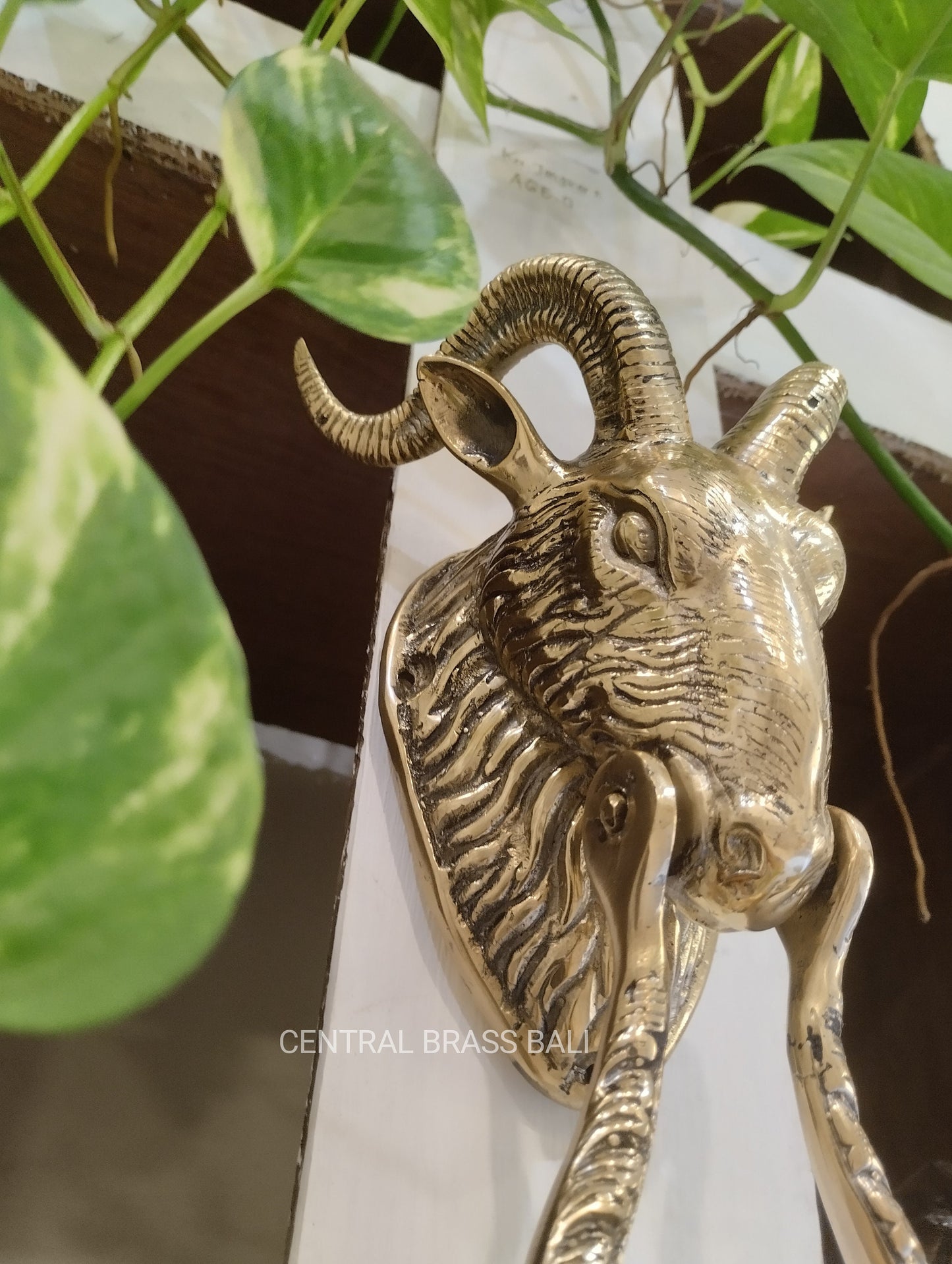 Large Cast Brass Goat Head Door Knocker 10 Inch | Rustic Farmhouse Front Door Hardware | Antique Style Animal Decor Housewarming Gift